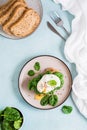 Appetizing bruschetta with poached egg and spinach on a plate. Keto diet. Top and vertical view