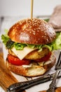 Appetizing chicken burger with cheese, fresh salad and vegetables. Fresh lettuce leaves, tomatoes and onions Royalty Free Stock Photo