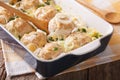 Appetizing chicken rissoles baked in a creamy cheese sauce close