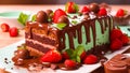 Appetizing chocolate cake with strawberries, mint leaves delicious biscuit nutrition