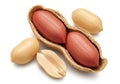 Close up of fresh peanuts in shell with red kernels on white Royalty Free Stock Photo