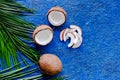 Appetizing coconut and palm branch on blue table background top view copyspace