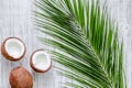 Appetizing coconut and palm branch on white background top view