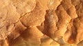 Appetizing crust of wheat flour bread. Fresh pastries in the bakery. Crisp on a bun. The structure of the baked dough. Product