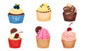 Appetizing Cupcakes with Whipped Cream and Berry on the Top Vector Set