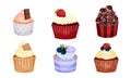 Appetizing Cupcakes with Whipped Cream and Berry on the Top Vector Set