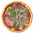 Appetizing 3-D Illustration of baked Italian pizza with all ingredients-tomatoes, onion, ham, ruccola, basil, paprika, mushrooms,