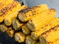 Appetizing delicious corn grilled outdoors on a picnic.