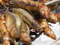 Appetizing delicious fried seafood, fish on a barbecue grill outdoors.