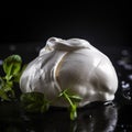 Appetizing delicious pickled burrata cheese with cream, isolated on black close-up,