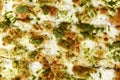 Appetizing focaccia with pesto. Traditional italian food. Close-up. Background. Space for text Royalty Free Stock Photo