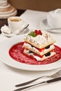 Appetizing french millefeuille dessert