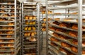 Appetizing fresh bread on rack in bakery