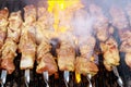 appetizing fresh juicy roasted kebabs on the BBQ