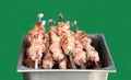 Appetizing fresh meat shish kebab (shashlik) Royalty Free Stock Photo