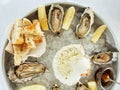 Appetizing fresh oysters with lemon on the deep dish on ice. Cheese with spices Royalty Free Stock Photo