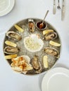 Appetizing fresh oysters with lemon on the deep dish on ice. Cheese with spices Royalty Free Stock Photo