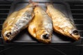 Appetizing fresh smoked fish peled on a black plate on a dark background. Homemade smoking. Beer snack