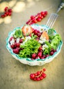 Appetizing Fresh Summer Salad in Bowl Royalty Free Stock Photo