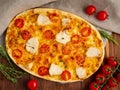 Appetizing golden focaccia with tomatoes, chiken meat, spices on