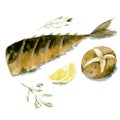 Appetizing grilled fish with lemon, baked potatoes and parsley. Watercolor illustration isolated on white background. Vector