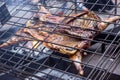 Appetizing grilled lamb on the spit. Roasted pig on traditional barbecue. Roasting barbecue is prepared of a ram pig baked pork me