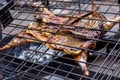 Appetizing grilled lamb on the spit. Roasted pig on traditional barbecue. Roasting barbecue is prepared of a ram pig baked pork me Royalty Free Stock Photo