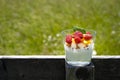 Appetizing healthy fruit yogurt in glass on wooden fence with green meadow