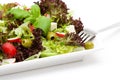 Appetizing healthy salad