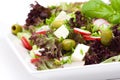 Appetizing healthy salad
