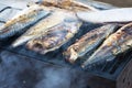 Appetizing mackerel fish on barbecue or grill Royalty Free Stock Photo