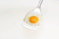 Appetizing and Perfectly Fried Egg on a Spatula, isolated on white background