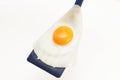 Appetizing and Perfectly Fried Egg on a Spatula, isolated on white background Royalty Free Stock Photo