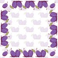 Appetizing plum sketch style vector frame and seamless pattern