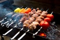 Pork shashlik with vegetables on the grill Royalty Free Stock Photo