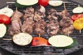 Appetizing pork neck meat is cooked on the grill Royalty Free Stock Photo