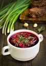Appetizing red borscht soup Royalty Free Stock Photo