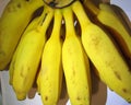 Appetizing ripe bananas for snack