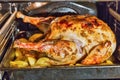 Turkey is baked in the oven closeup Royalty Free Stock Photo