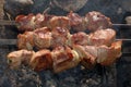 Appetizing roasted shish kebab (shashlik).