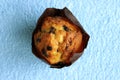 Appetizing, ruddy, tasty vanilla muffin with chocolate pieces