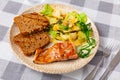 Appetizing salmon with a vegetable salad Royalty Free Stock Photo