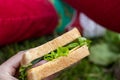 Appetizing sandwich for a picnic Royalty Free Stock Photo
