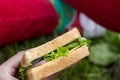 Appetizing sandwich for a picnic