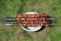 Cooked pork meat. Barbecue lunch. Appetizing shashlik on skewers on plate Royalty Free Stock Photo