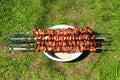 Cooked pork meat. Barbecue lunch. Appetizing shashlik on skewers on plate Royalty Free Stock Photo