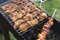 Appetizing shish kebab is fried on a skewers outdoor