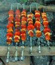 Appetizing shish kebab roasted in Siberian forest Russia on charcoal