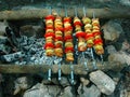 Appetizing shish kebab roasted in Siberian forest Russia on charcoal