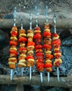 Appetizing shish kebab roasted in Siberian forest Russia on charcoal